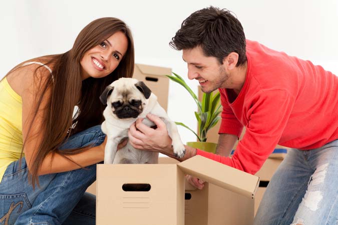 Tips for a stress-free move with pets