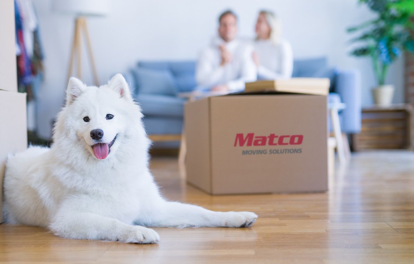 Tips for a Stress-Free Move with Pets From Matco’s Home Movers